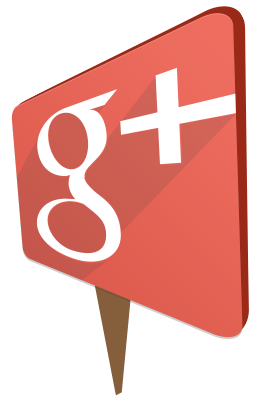 google plus sign